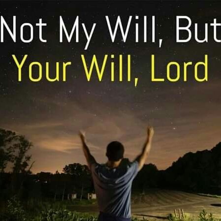 <a href="/jamielcantu/">Jamie L. Cantu🇺🇸🇮🇱</a> <a href="/johns20014/">John</a> @DENISEHollis99 <a href="/MrsLJesusFreak/">Jessica</a> <a href="/_RiseandShine_5/">𝕁𝕖𝕤𝕤</a> <a href="/pastor_peal/">Revelation of Jesus Christ</a> <a href="/albert70x7/">Albert Wang</a> @InMessiahYeshua <a href="/BeachcatTt/">Michelle</a> <a href="/RosePagaduan2/">RoseP@ChildOfGod</a> <a href="/beyaself1/">beyaself</a> <a href="/elliesangelwing/">Doreen</a> <a href="/GaryPankow/">Gary Christian artist</a> <a href="/nancy757366841/">nancyrobinson</a> <a href="/emmanuelobi476/">lion of Judah</a> <a href="/MimiLovesJesus5/">🙏❣️Camille🛐🕊️</a> <a href="/Ccangelsing/">CC Angels Sing</a> <a href="/GodsLoveFamous/">godslovefamous</a> <a href="/DonataLueck/">DkL4Jesus</a>