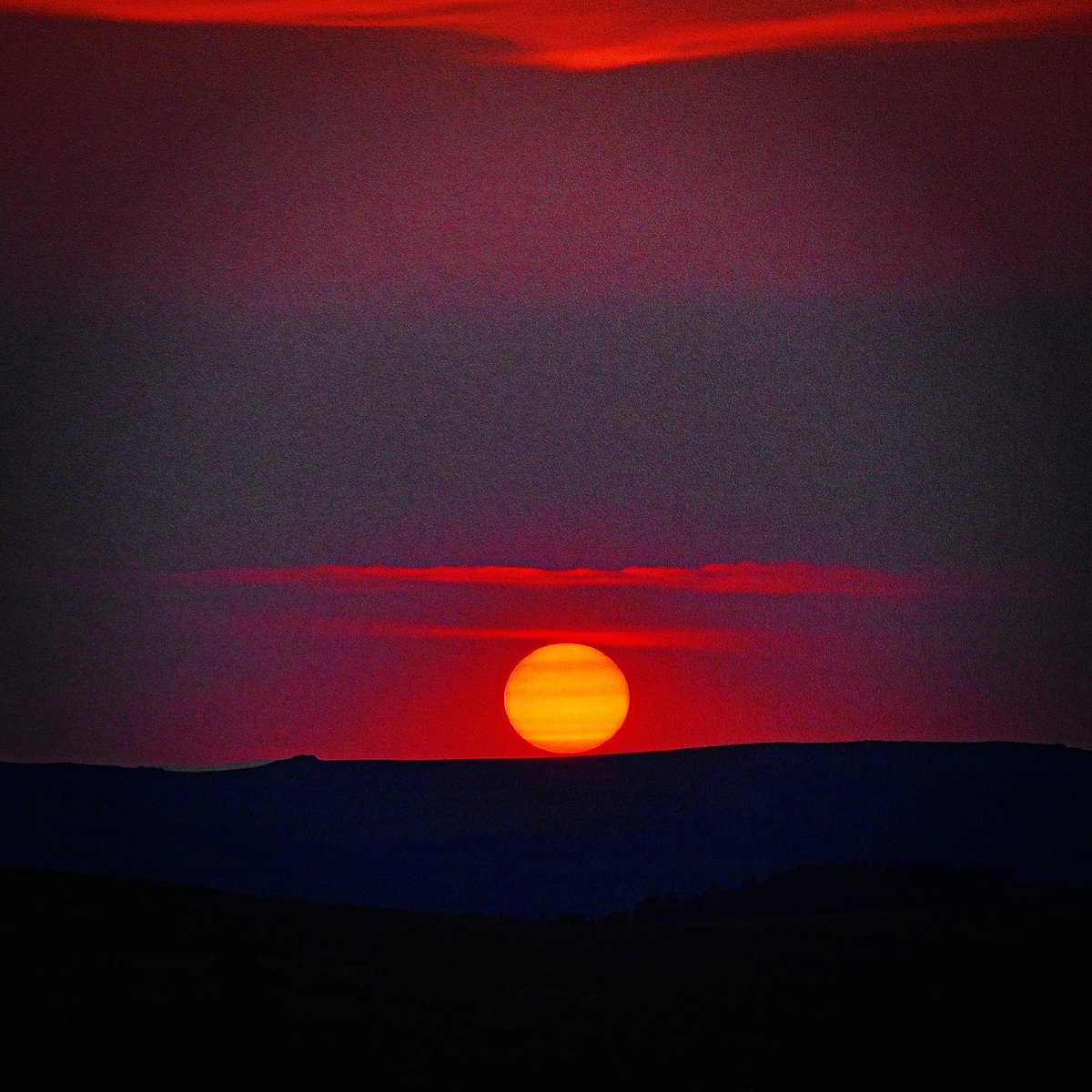 Ben Griffiths tweet media