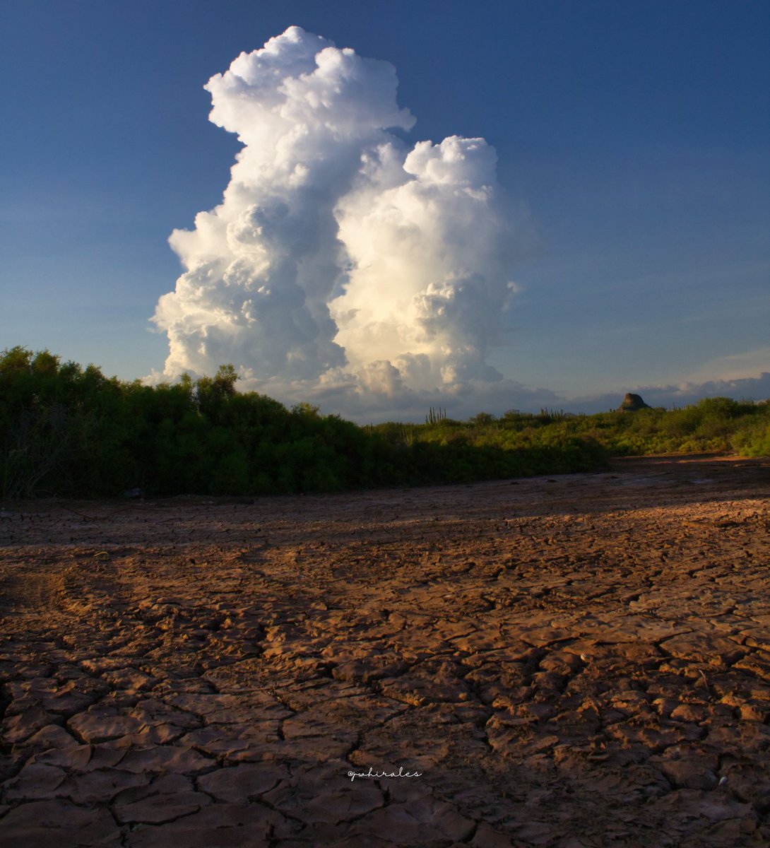 jwhirales's tweet photo. Desert and clouds / Desierto y nubes #desert #desierto #clouds #nubes #drysoil #tierraseca #sonoradesert #desiertodesonora https://t.co/9psusD6TrA
