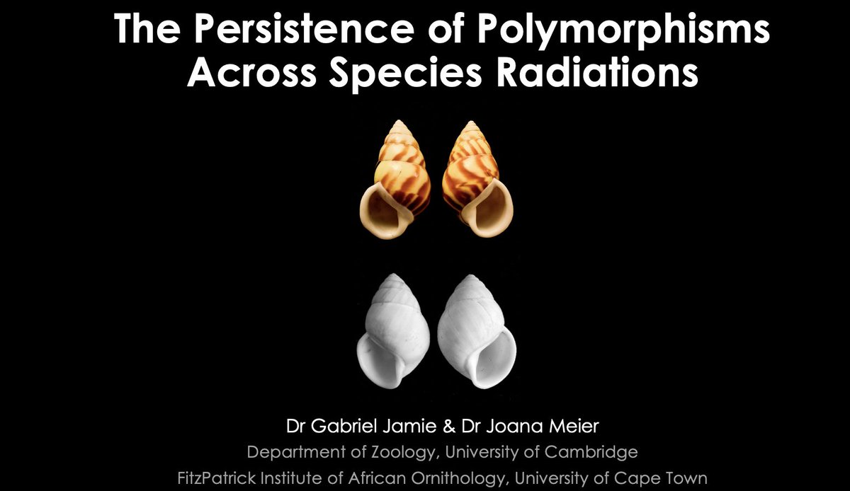 Gabriel Jamie tweet media