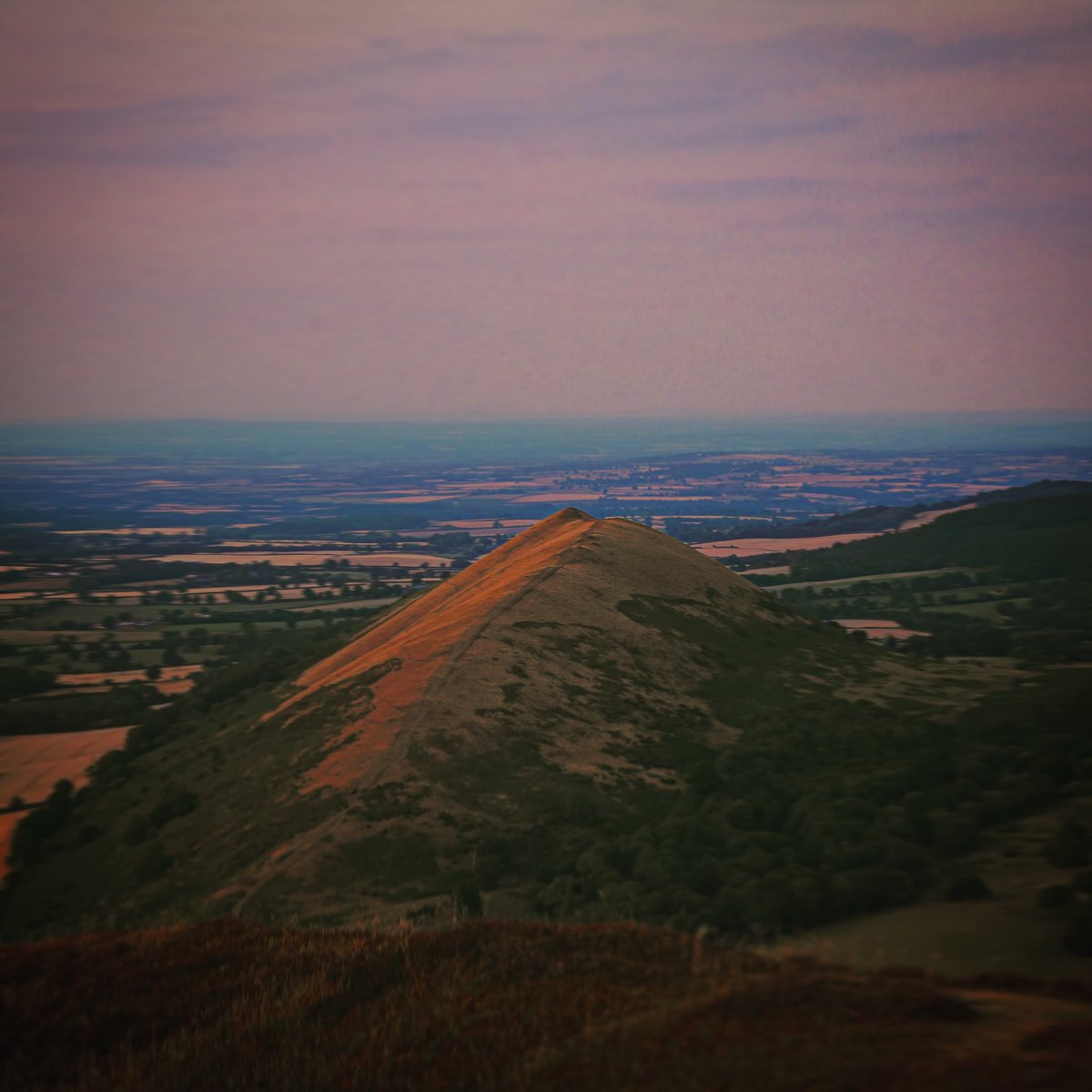 Ben Griffiths tweet media