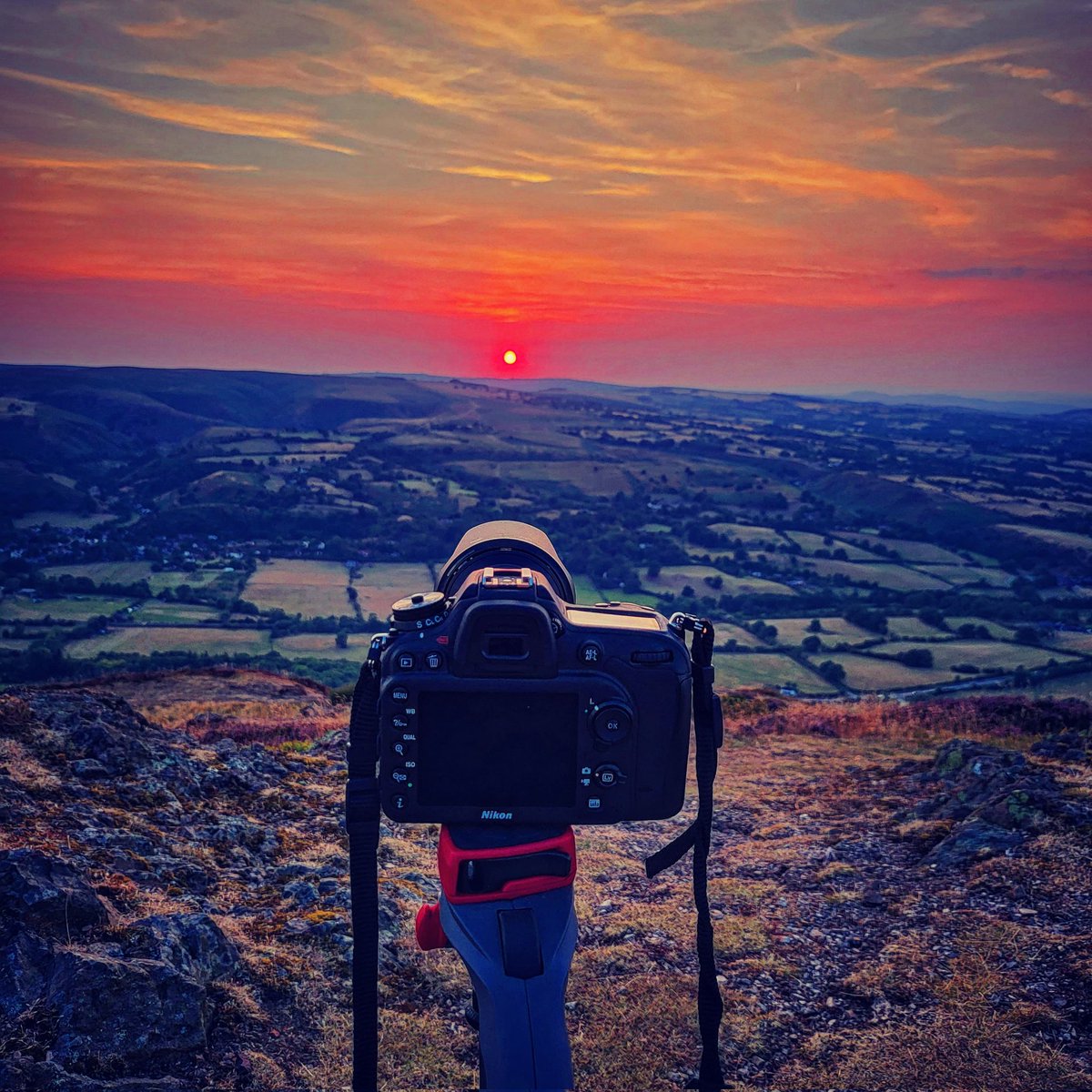 Ben Griffiths tweet media