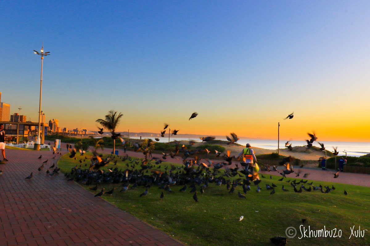 mccoovane's tweet photo. Good Morning Durban 🇿🇦

Whatever you are, be a good one.

#ilovedbn #ethekwini #winter #hope #dnnbeach #seascape #sunrise #durbanhasmore #durban_local #dbntourism #kzntourism #satourism #canonsa #durban #morningwalk  #landscapegearphotography #landscapegear #peoplesweather https://t.co/BNoHYVUPYj