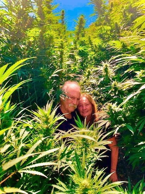 Happy Birthday David Crosby.Nella storia della ,nella storia della  