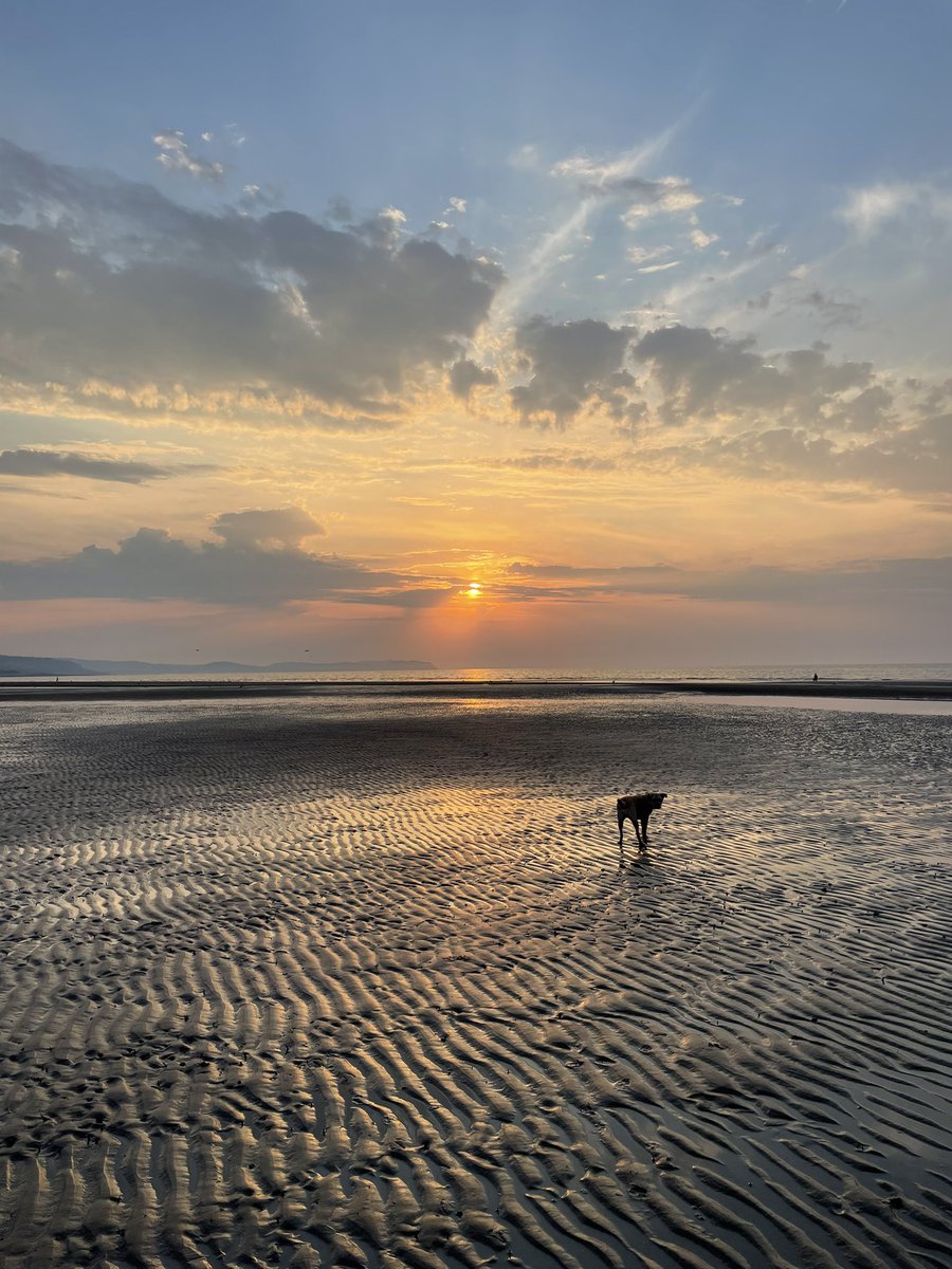 Lisa, The Beast & Billy tweet media