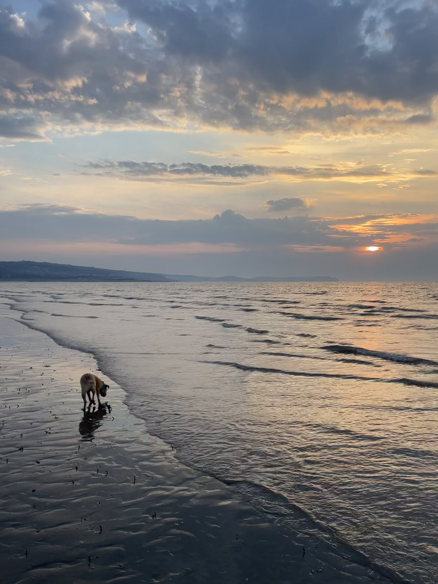 Lisa, The Beast & Billy tweet media