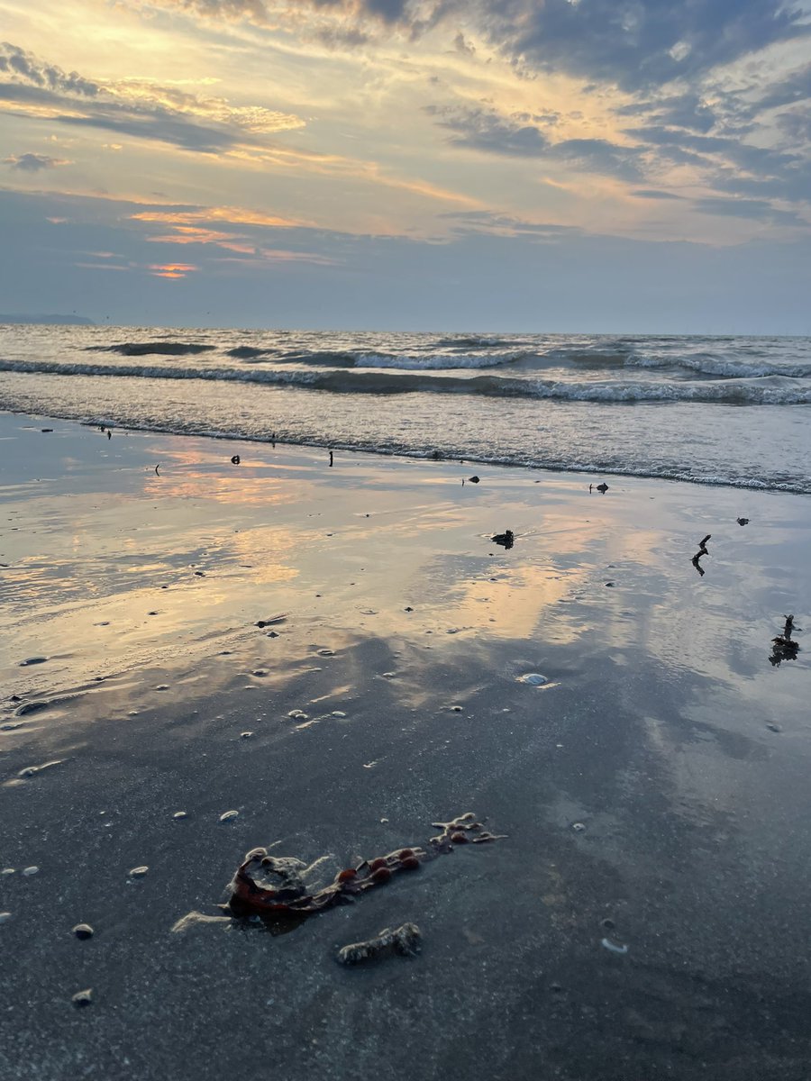 Lisa, The Beast & Billy tweet media