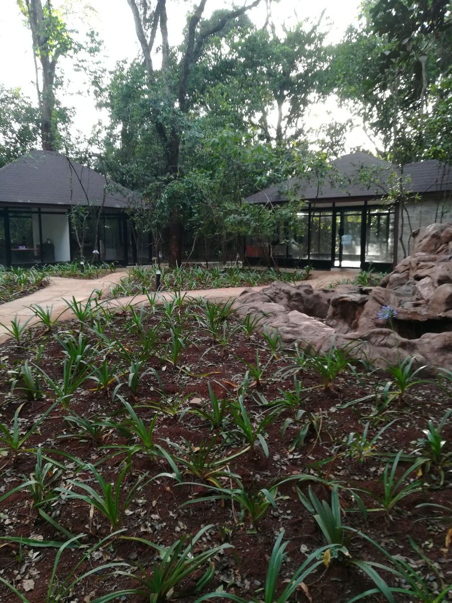 Hodihodilisting's tweet photo. Gazebo style #Office spaces available for lease in Karen. Sizes start from 24sqM. Reach us on 0729902744 or 0731091120 for inquiries and viewing https://t.co/KJ0gzco8NG