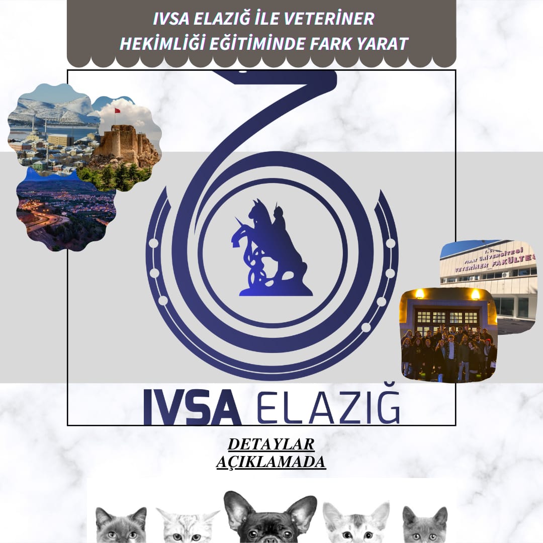 elazigivsa's tweet photo. Fırat Üniversitesi Veteriner Fakültesini kazanan arkadaşlarımızı fakültenin uluslararası çalışan tek topluluğu olarak tebrik ediyoruz. Şehir ve fakülte hakkında bilgi almak için DM yoluyla iletişime geçebilirsiniz.
#fıratuniversitesi #tercih2022 #veterinerfakultesi #ivsa https://t.co/OoFHTqE3iR