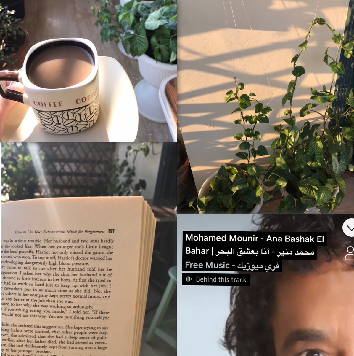 1Ghadaaa's tweet photo. My morning https://t.co/pdaxahb0Yc