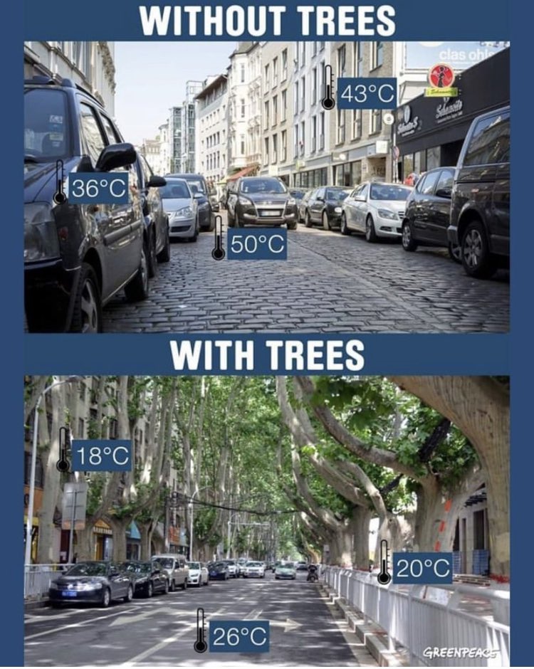 YeahBerenger's tweet photo. Typiquement #Marseille est la ville où ce genre de contraste est flagrant. Il suffit de marcher rue de Rome, sur le Vieux -Port ou bientôt sur la nouvelle place Castellane pour le ressentir violemment. On veu— on a BESOIN d’arbres dans nos rues @AMPMetropole @marseille https://t.co/Wa4xz6fMp7