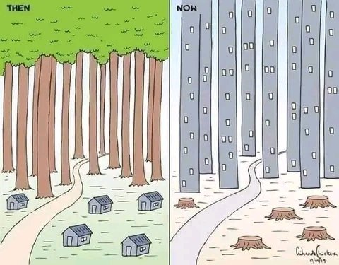 Then and now tall trees vs tall buildings.