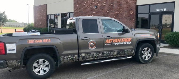 Advantage Pest Services
1490 W Government St Ste 7, Brandon, MS 39042
(601) 540-0814
https://pestcontrolmadisonms.com/brandon-ms/