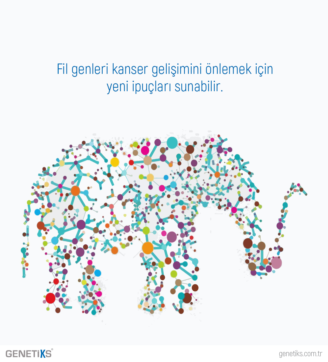 GenetiksGlobal's tweet photo. “Hücreler rutin olarak kopyalanır, yeni #hücreler eskilerinin yerini alır ve her yeni hücre DNA'nın yeni kopyalarını içerir. Bu yeni hücreler, eski hücrelerin tam kopyaları olmalıdır, ancak #proteinler hatalı bir şekilde DNA'yı kopyalarsa #mutasyonlar meydana gelir. https://t.co/FNiicEFG52