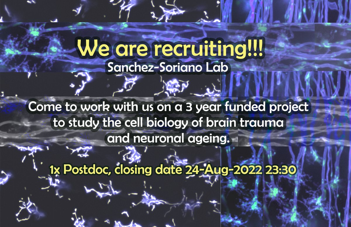 Interested in the cell biology of traumatic brain injury and ageing? Apply to the 3-year postdoc position in the Sanchez-Soriano lab (sanchezlab.wordpress.com)! — closing date 24-Aug-2022 @ 23:30. For more info see: my.corehr.com/pls/ulivrecrui…