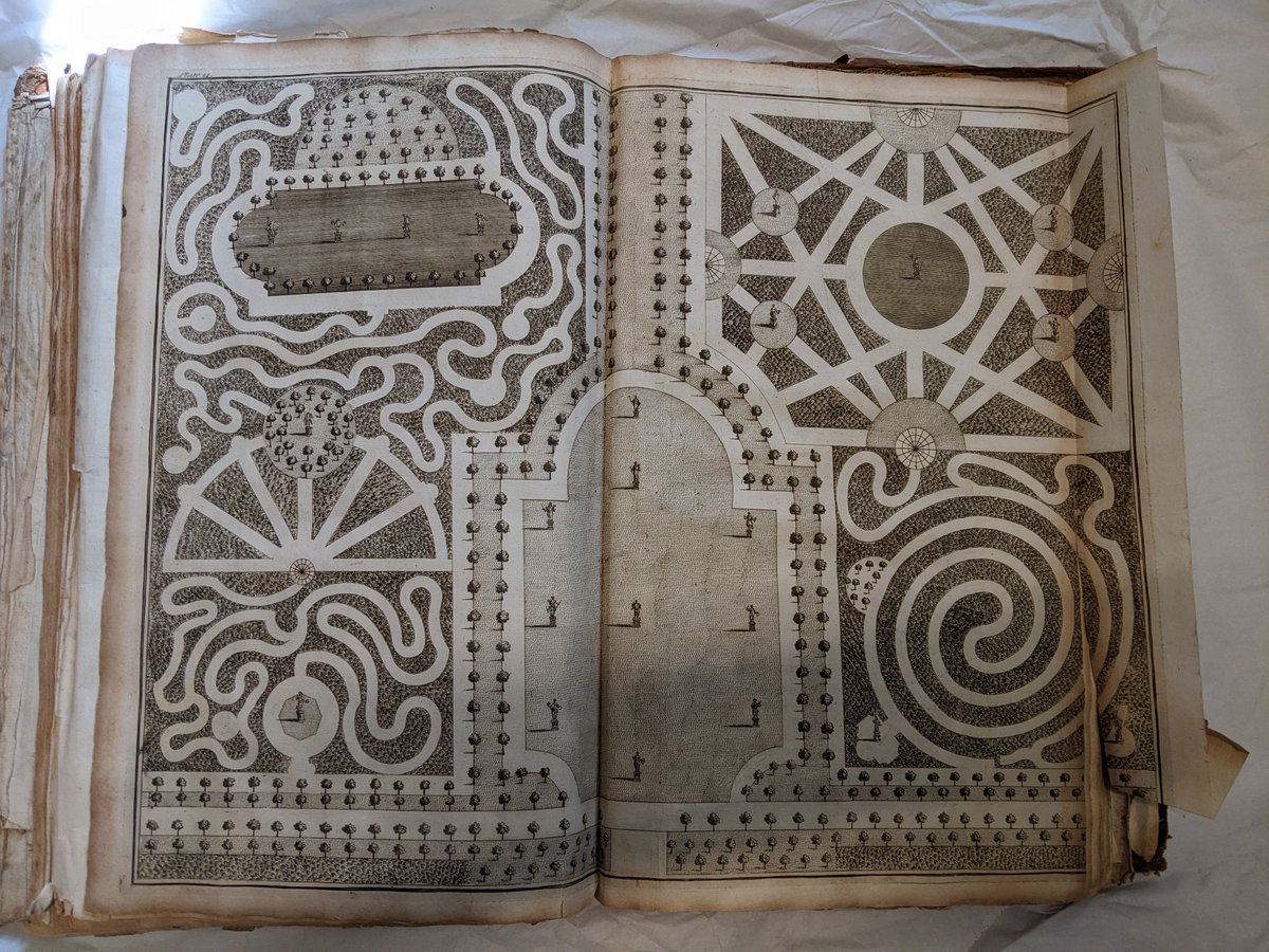 Lancashire Museums tweet media