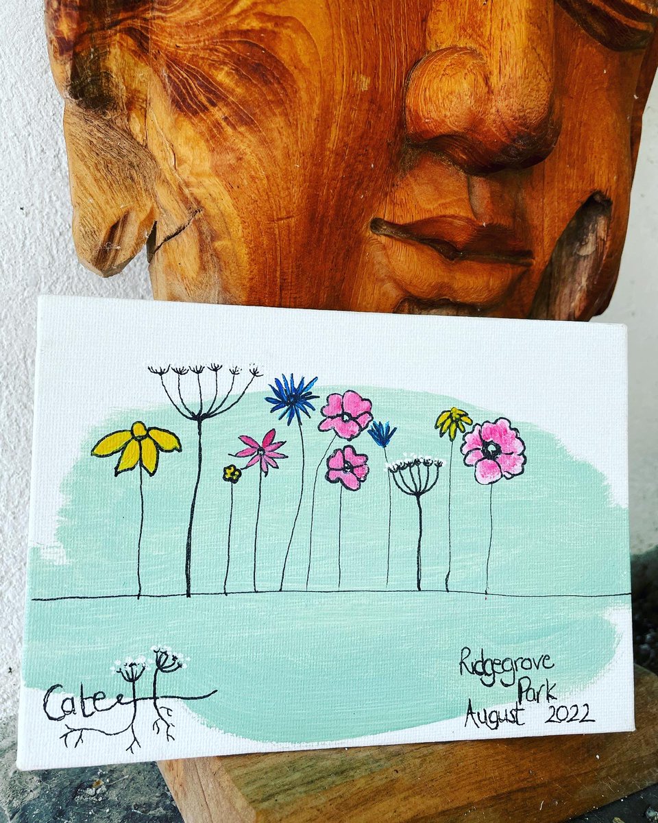 Cate Harvey tweet media