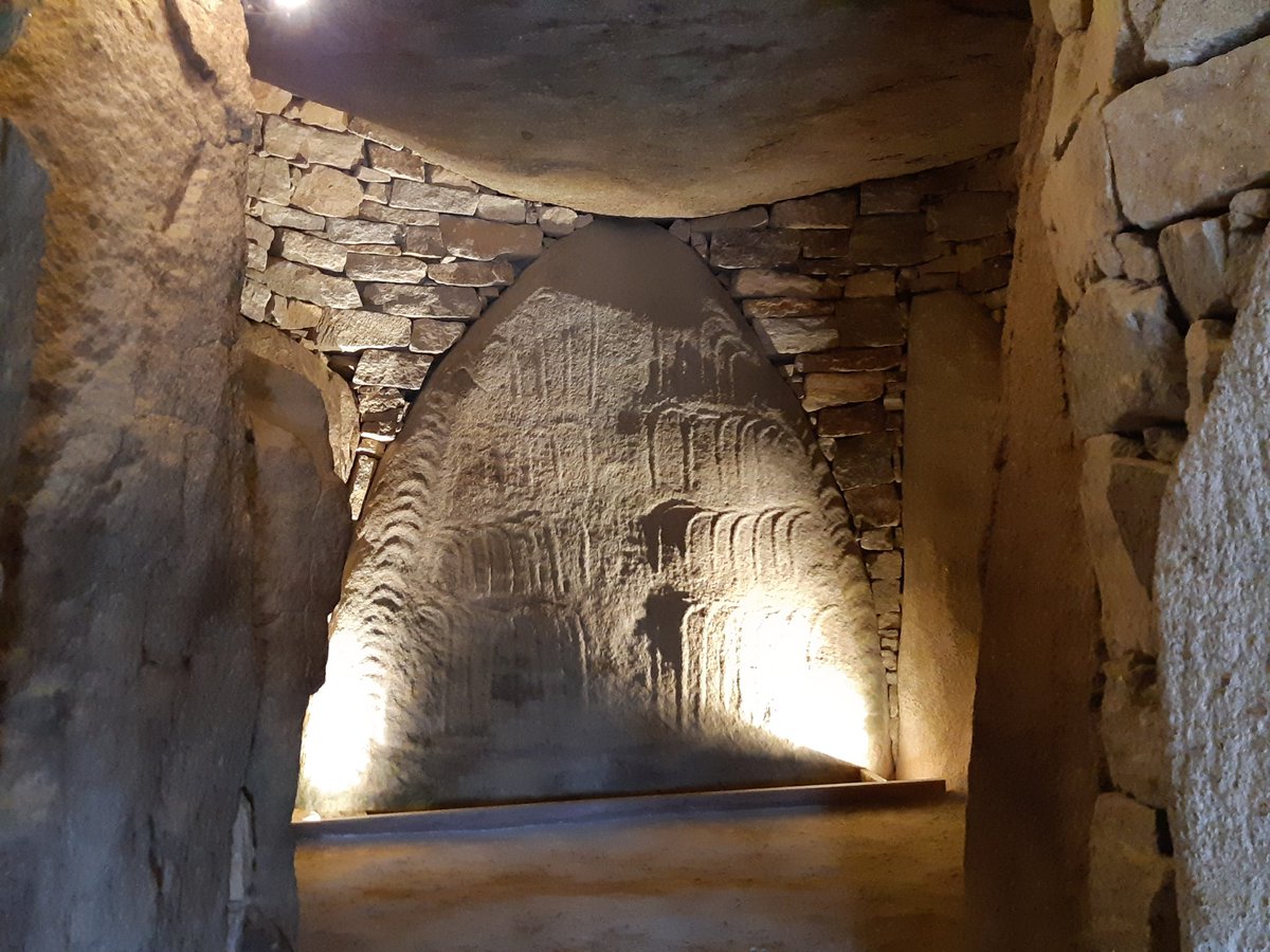 Yanxia Hou tweet media