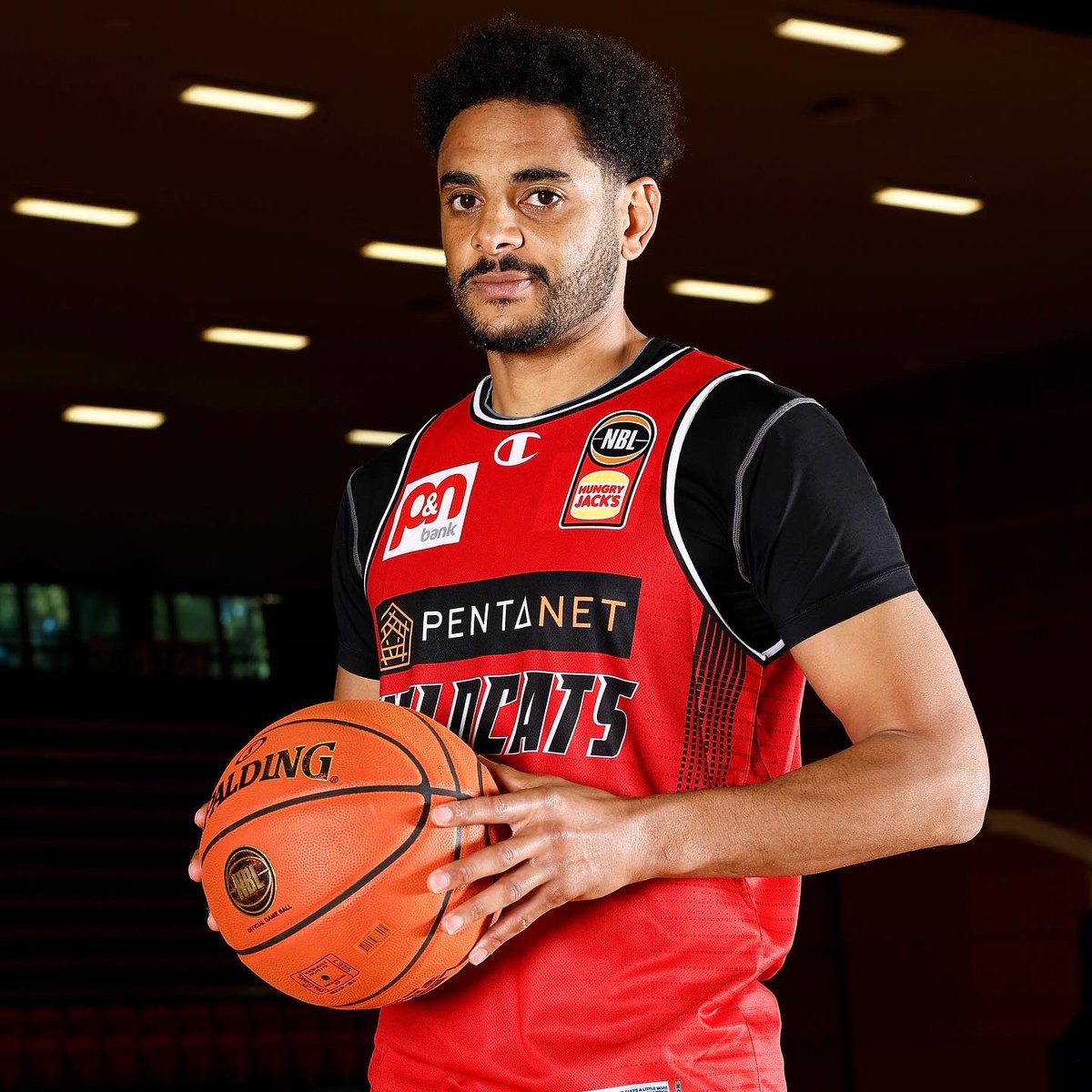 Perth Wildcats tweet media