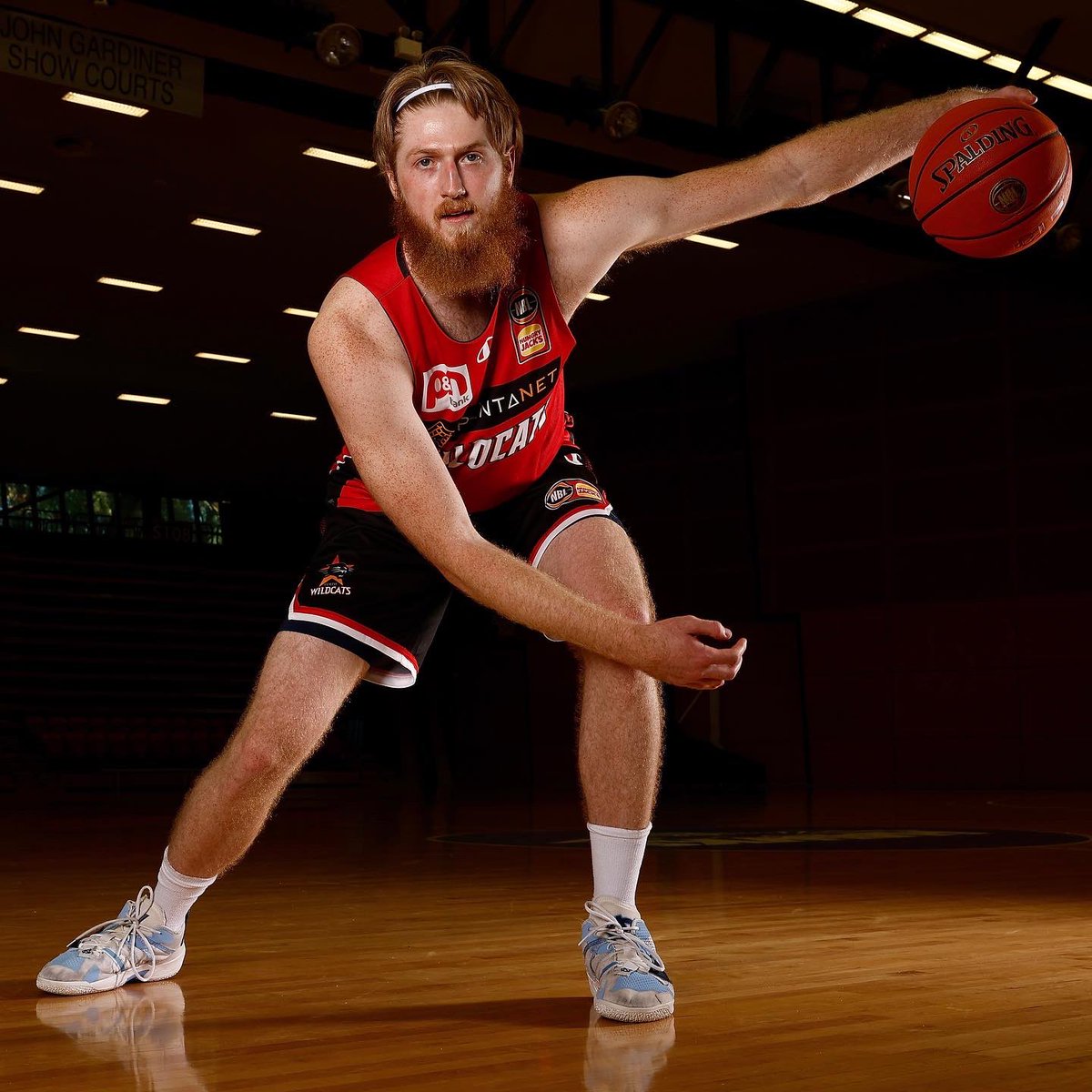 Perth Wildcats tweet media