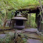 ツイートに含まれる画像