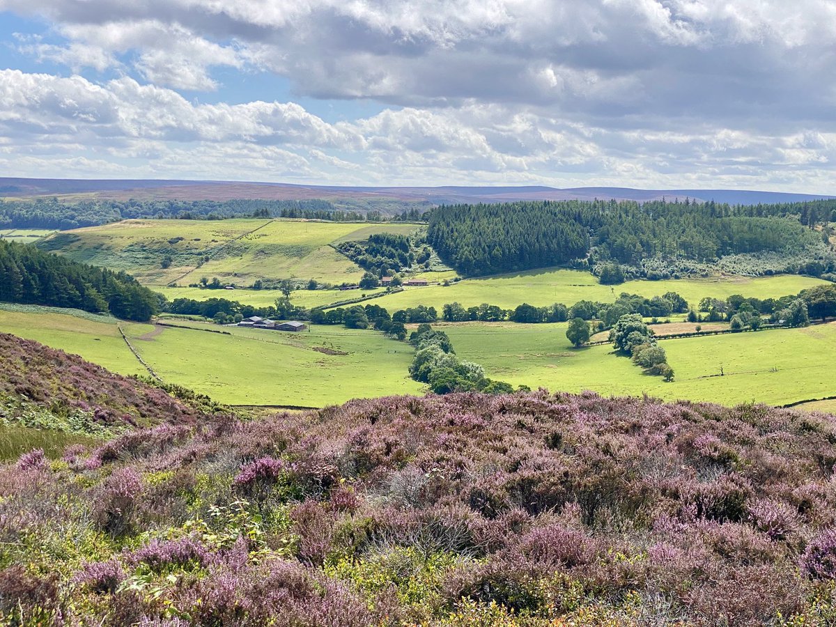 NickyJohnsonNY's tweet photo. Wishing you a happy new week from North Yorkshire 😊 https://t.co/xRxFc4gNHv