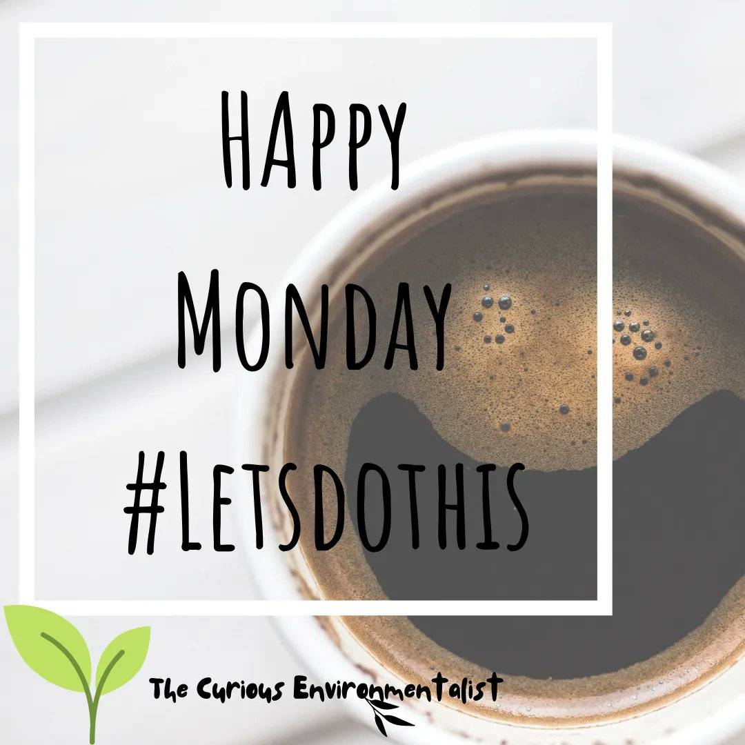 curiousenviron's tweet photo. What are your goals for the week ahead?
How are you going to help the world around you become a better place for us all?
#HappyMonday #TakeOnTheWeek #YouGotThis #MondayMotivation https://t.co/RwQZxUOpFf