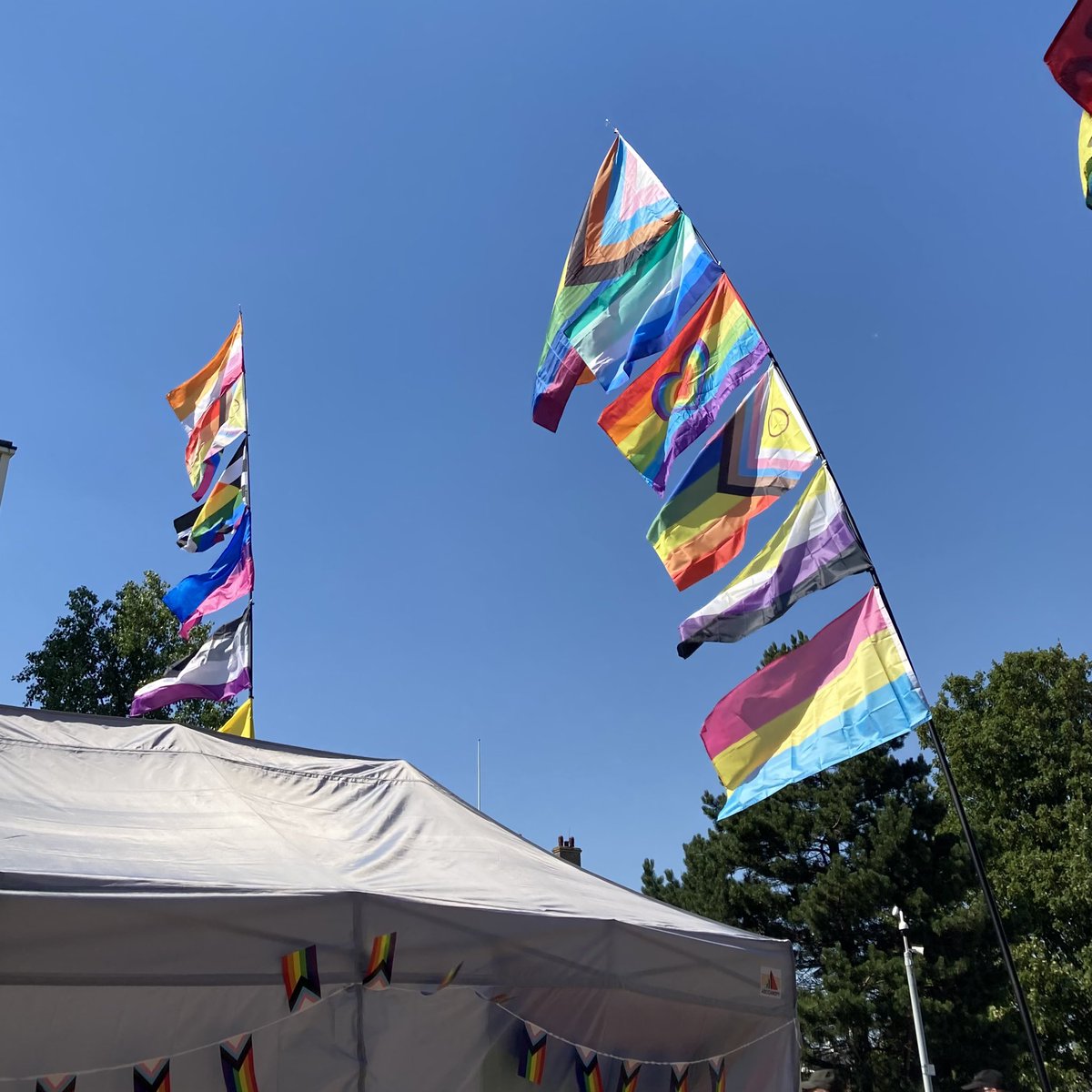 Dr Eleanor Draeger tweet media