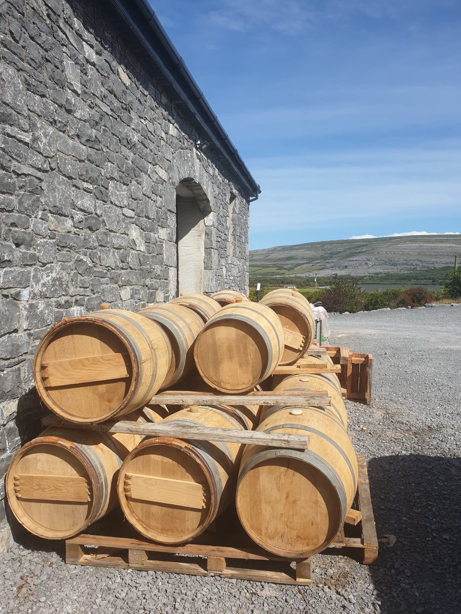 Some casks sitting out, working on their tan before the weather breaks 😉 #casks #oak