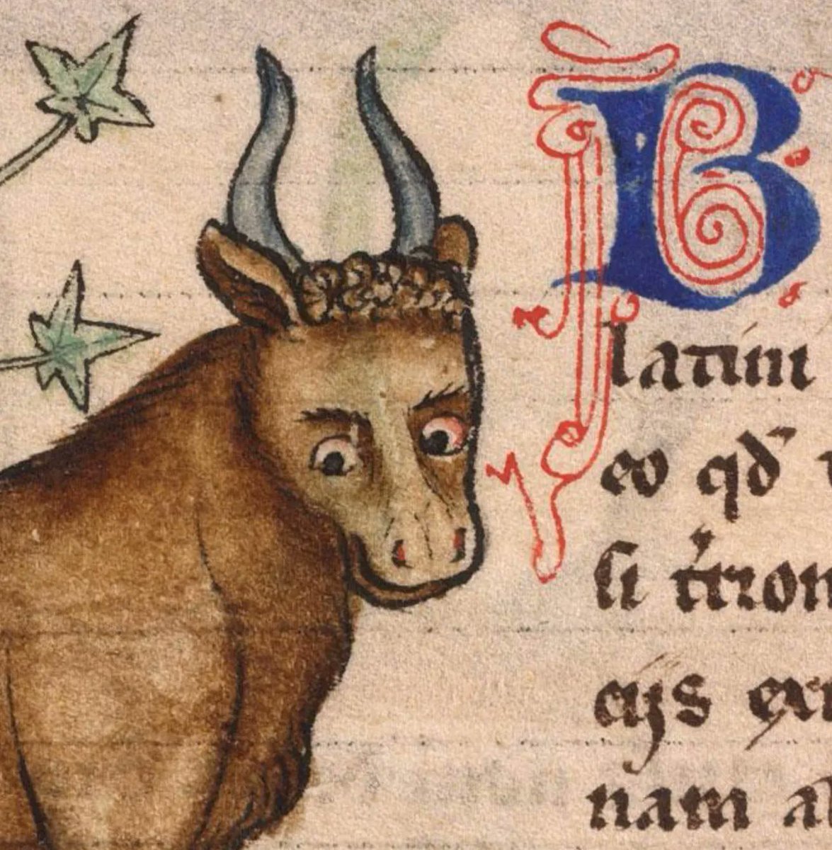 OEWordhord's tweet photo. #OldEnglish #WOTD: fear, m.n: a bull, an ox. (FEH-ar / ˈfɛar) Image: De natura animalium; France (Cambrai), 1270-75; Bibliothèque Municipale de Douai, MS 711, f. 19r. https://t.co/2ukf78i7WX