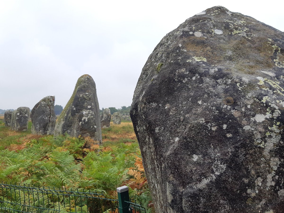 Yanxia Hou tweet media