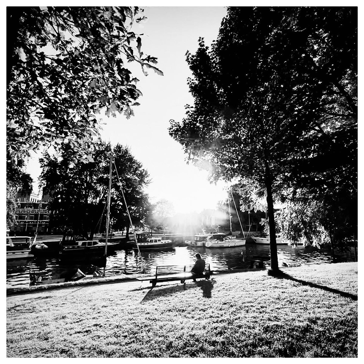 Renny de Groot tweet media