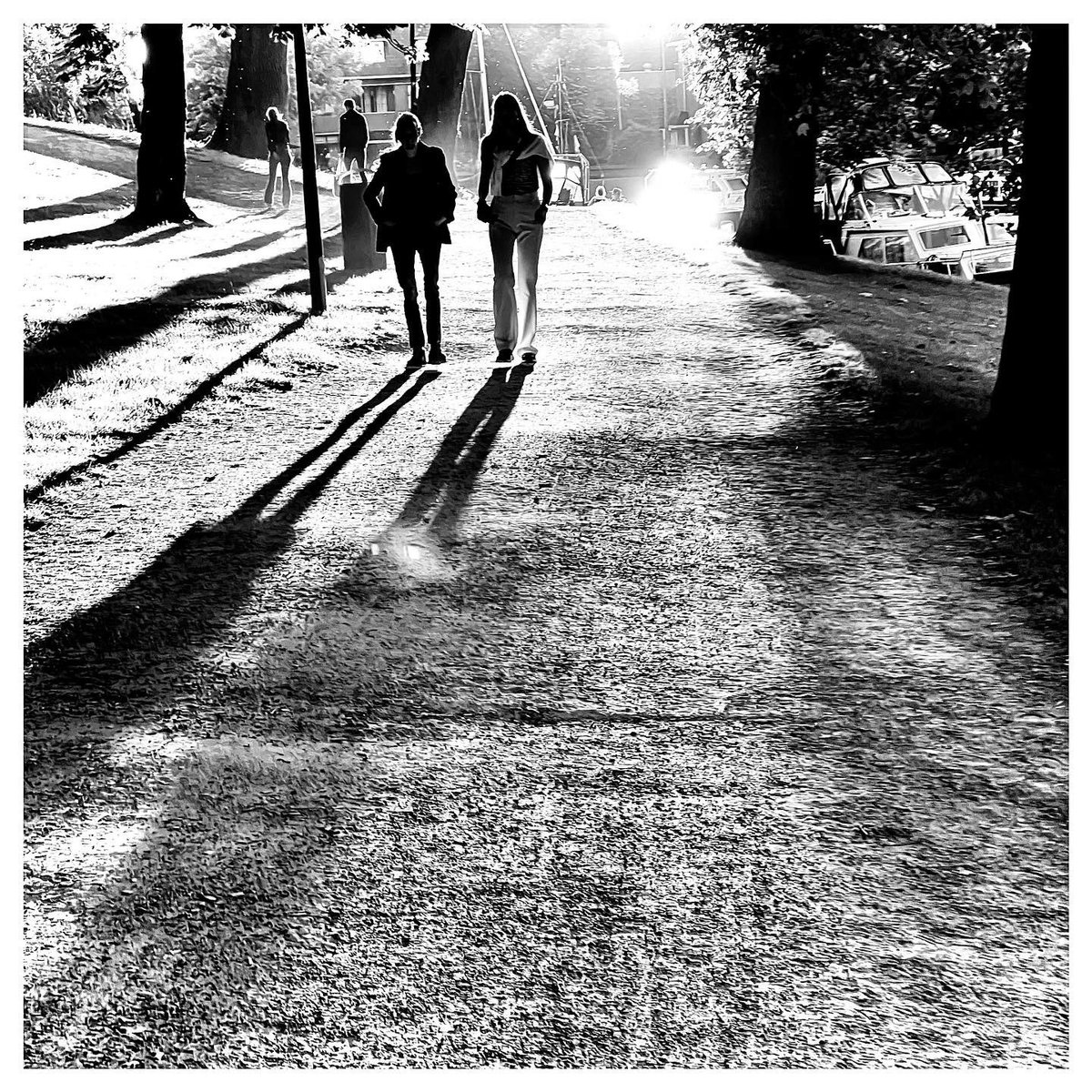 Renny de Groot tweet media