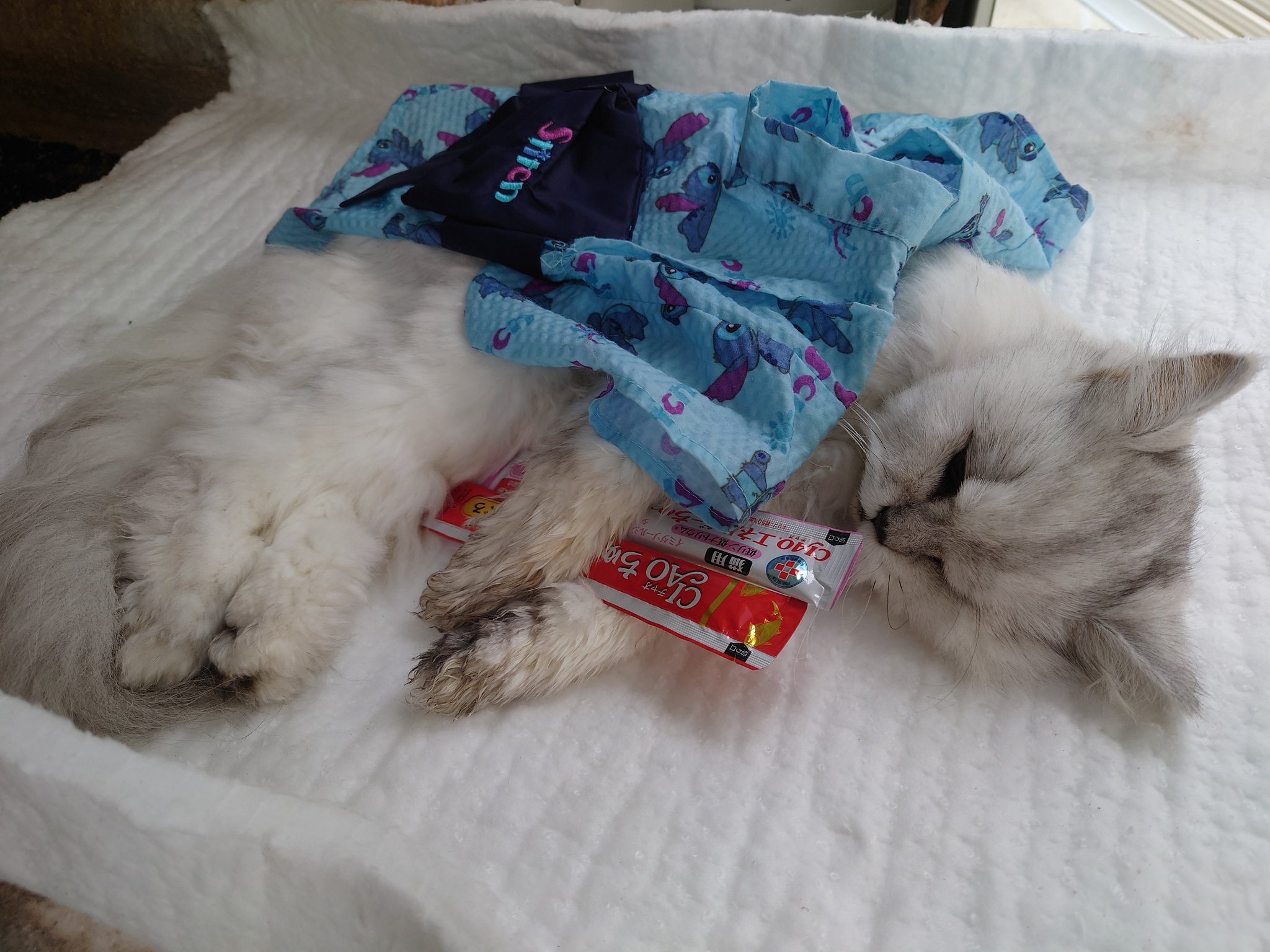 保土原 誠 宮城県仙台市の訪問ペット火葬ふくふくやまさんに来て頂きました 犬 猫は話す事が出来ないから 喉仏の骨が綺麗に残っていれば 幸せに暮らした証明だそうです 我が家の愛猫は すんごく幸せだったそうです 担当者さん談 良かったぁ