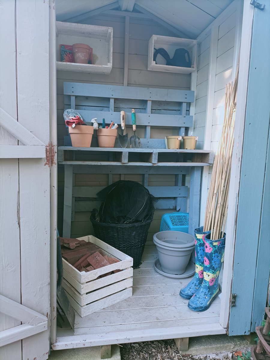 Sue Seddon tweet media