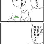 どうやって育てる？期待しても、しなくても、しょげる草!