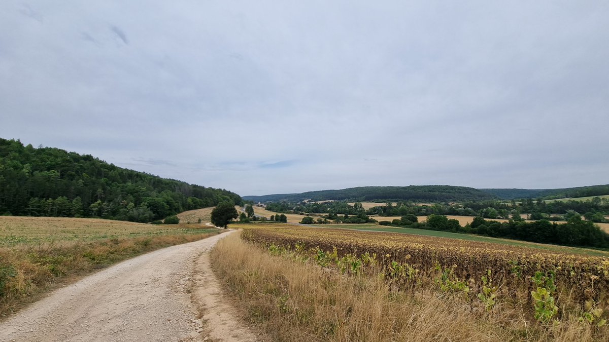 huettemann's tweet photo. (last!) Day 🔟 #berndscamino Toul 👣 Dijon - 1684 km done from Berlin ! tbc! 🙏
#chemindecompostelle  #chemindesallemands #granceylechateau 👣 #issurtille #wanderlust #pilgern #caminodesantiago  #pilgerninfrankreich #cotedor #Bourgogne #finiseuropae 👣🔗 https://t.co/KqMKqflOFw https://t.co/c7BiRloHvl