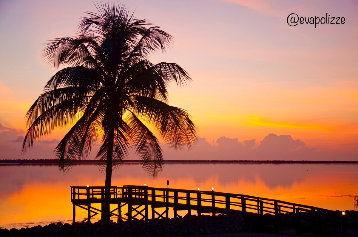 EvaPolizze's tweet photo. Sunrise in the Florida Keys. I would like to wish you all a wonderful and peaceful day! 

#sunrise #sunrisephotography #photography #photographylovers https://t.co/l3gFBC7Nh7
