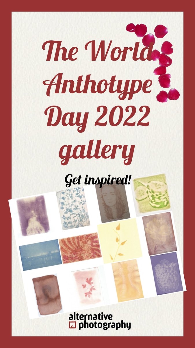 alternativephot's tweet photo. Check out the Anthotype Day 2022 gallery! Lots of inspiration and great work from artists from all over the world!
#anthotypeday #anthotypeday2022 #anthotype #anthotypes
https://t.co/eYVoIG6U29 https://t.co/FdLczyZxjm