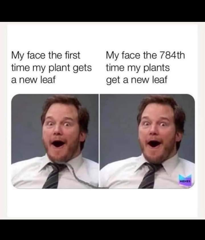 Mellado_Orchard's tweet photo. For Realz... 🤣 https://t.co/rN2ynlRpSO