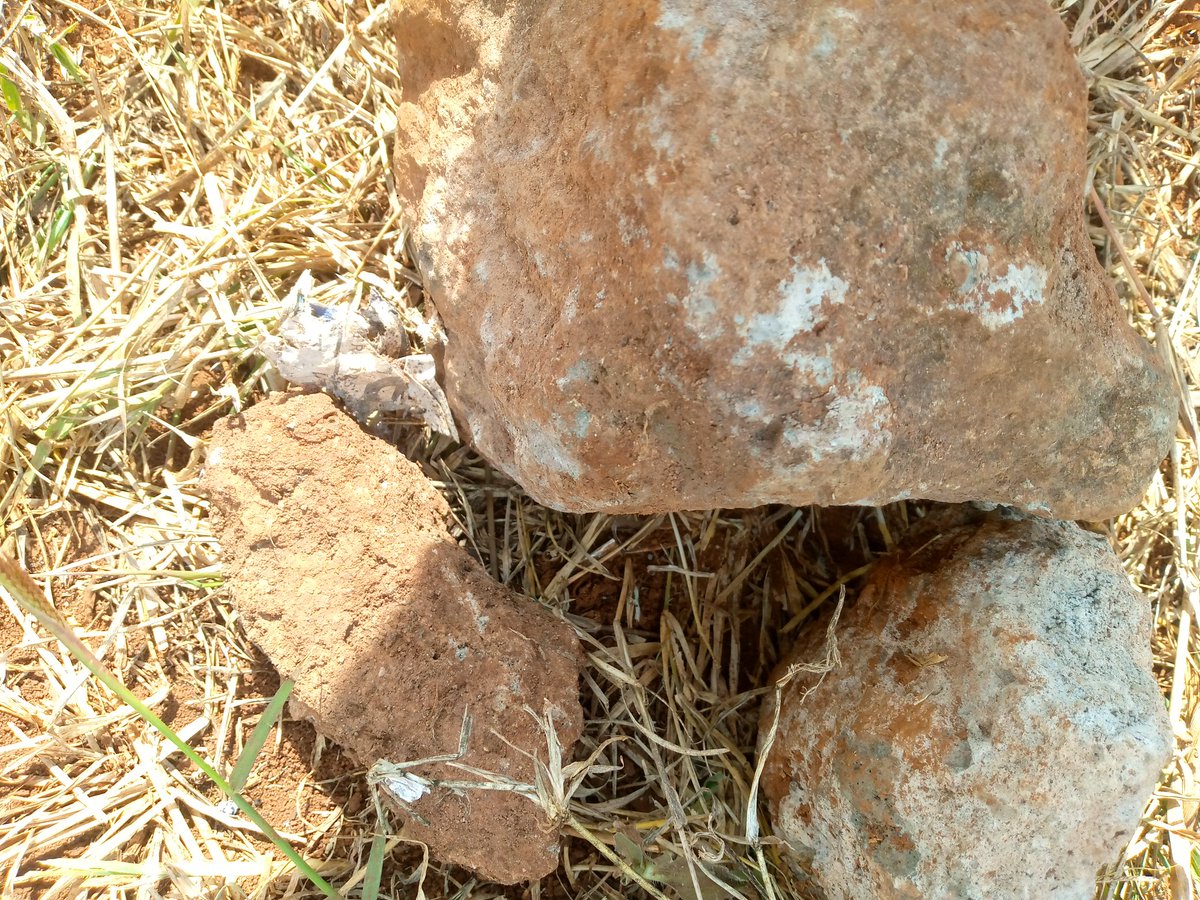 SPider63307238's tweet photo. Kujipanga to mdogoo 🏋️😂 https://t.co/7U3pe7E2SM