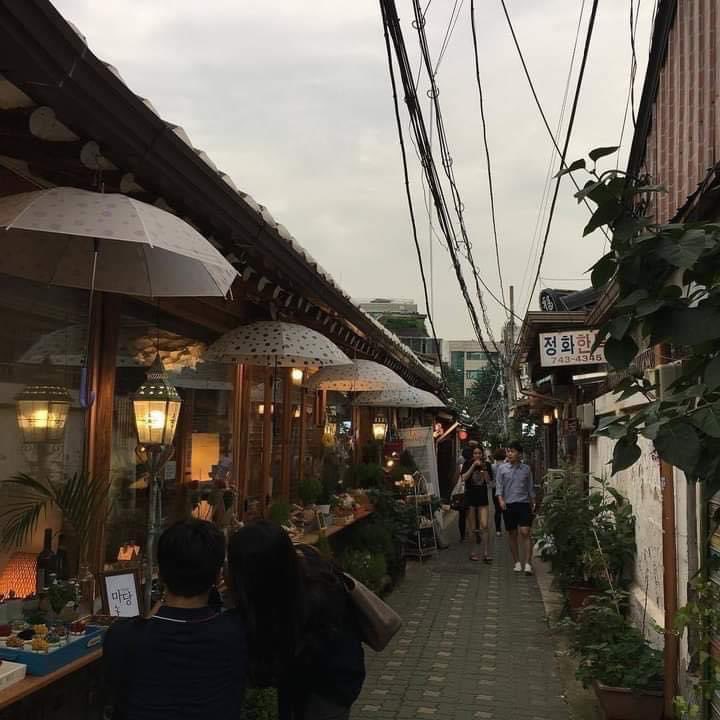 jasmineambre's tweet photo. – bookstores, cities unexplored and hidden cafés https://t.co/DFO5mGNEvB