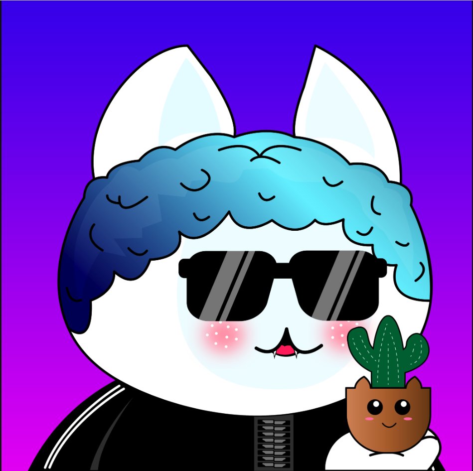 Chubby Cats NFT’s tweet media