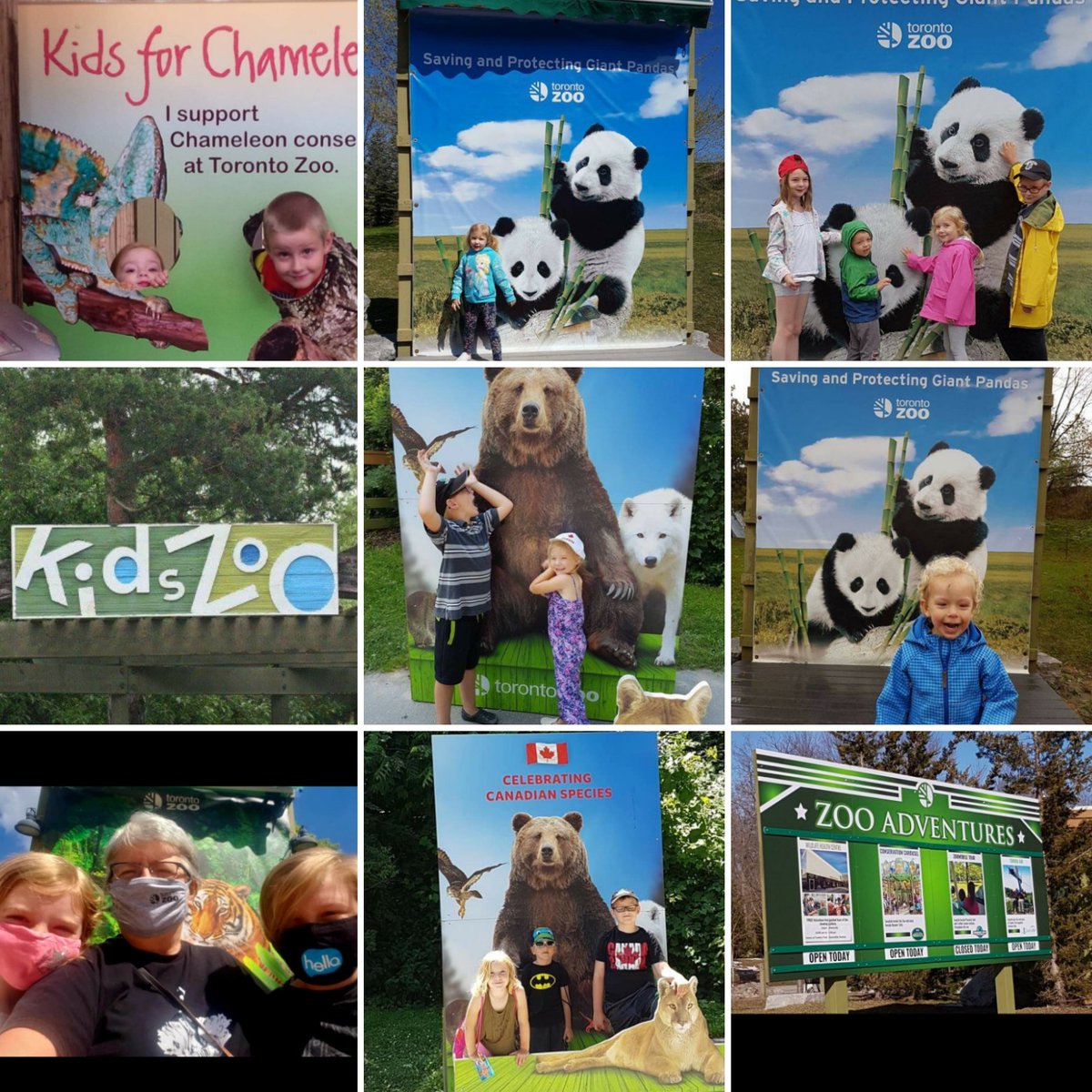 onedaywithNan's tweet photo. Wishing @TheTorontoZoo a very Happy 48th Birthday! 👏🍾

#savingspecies #fightingextinction #WhyZoosMatter https://t.co/uc2i0AqzsY