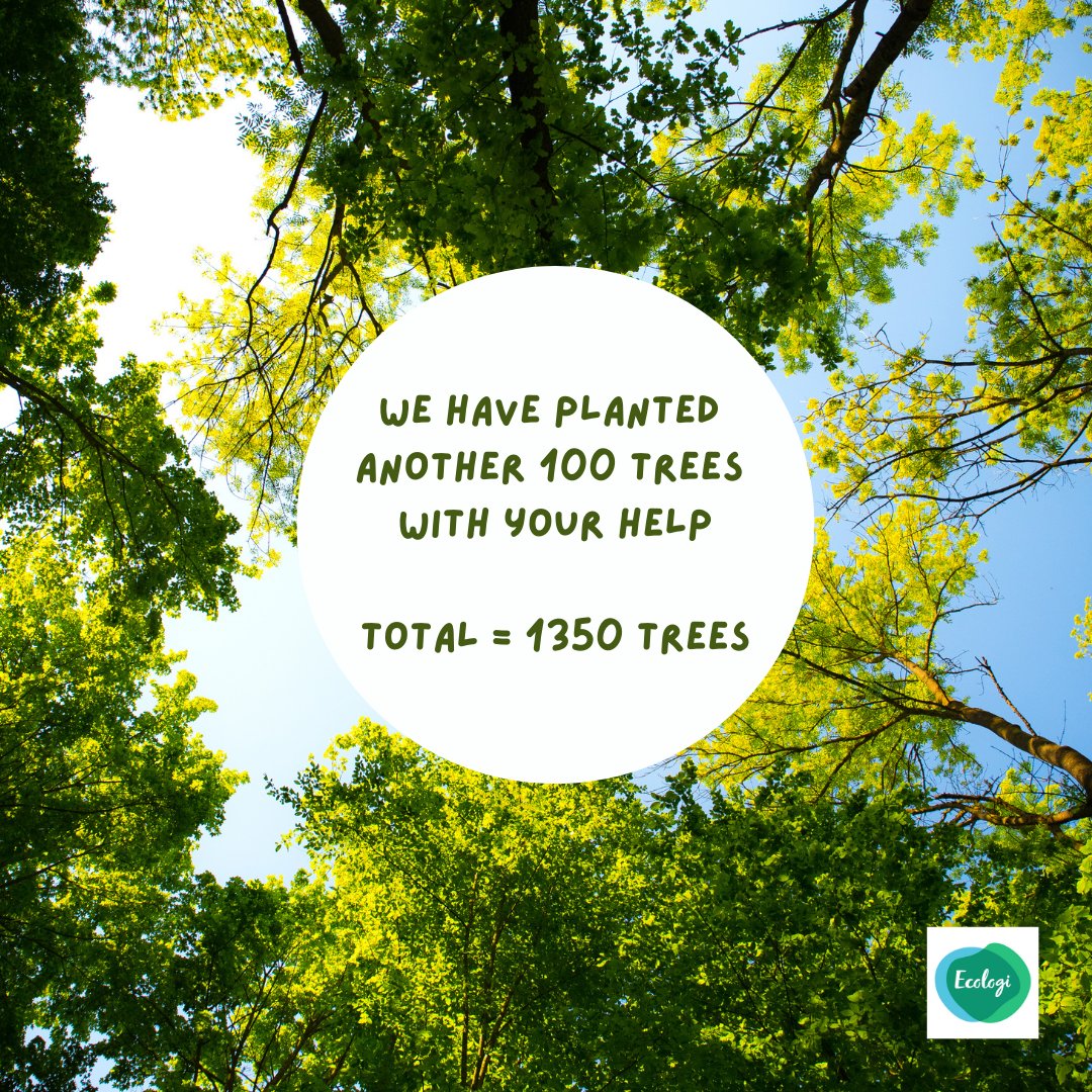 PipkinAndBella's tweet photo. ๐ณ๐ณ๐ณ๐ณ๐ณanother 100 trees planted ~ thatโs 1350 trees so far๐คฏ
https://t.co/P2UtHXaOXe ๐๐
#PlantingTreesWithYourHelp
@Ecologi_HQ https://t.co/eLY2hnE3cq
#SmallBusinessForGood
#PipkinAndBella
#DogsUK #LoveDogs #DogLover #DailyDog #DailyFluff #CatsUK #LoveCats #CatLover https://t.co/D2AMBOymiU