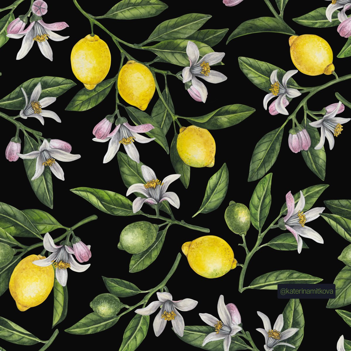 katerinamitkova's tweet photo. Lemons and blossoms, 4 colorways, all these and more are now available in my #Spoonflower shop
#lemon #fabric #fabricdesign #spoonflowerdesigner #sponflowerfabric #pattern #floral #botanical #floralprint #surfacedesign #surfacepattern #Society6 #zazzle #Redbubble #teepublic https://t.co/du7c3uAuUt