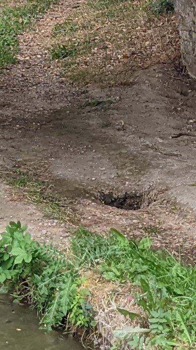 fattnowslim's tweet photo. @CRTSouthEast bridge 210 south Oxford canal. 1ft hole in towpath under bridge, with water rising up from canal as boats pass. https://t.co/jqXxlFt9u3