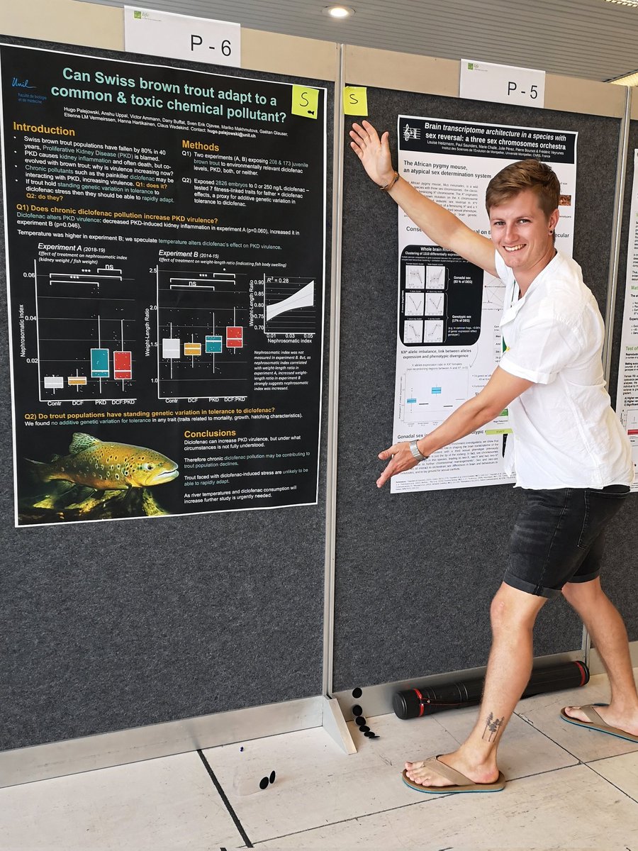 My poster is up at #ESEB2022 at P6. Come talk to me on Thursday about whether we can expect Swiss brown trout populations to be able to adapt to anthropogenic pollution and what that means for their #conservation

#evolution #Biology
