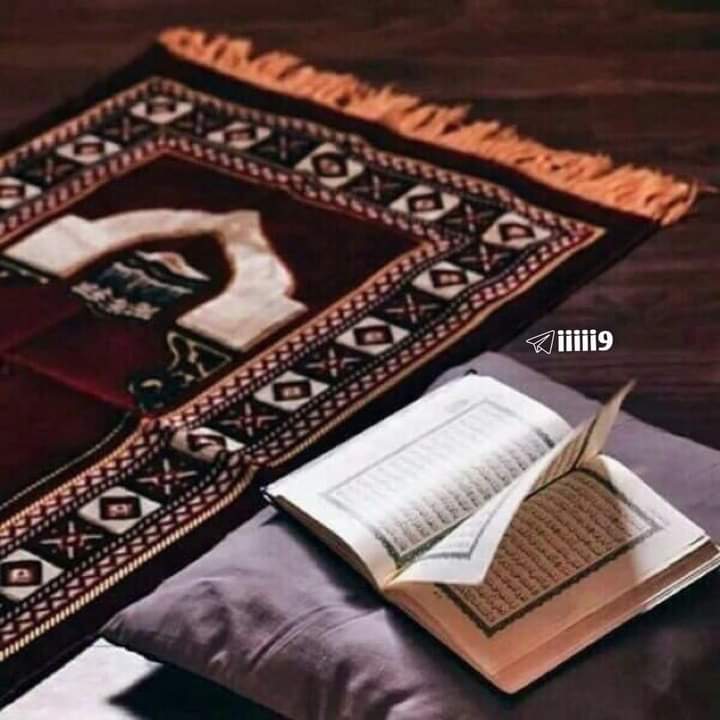 AliMohamedNur6's tweet photo. Hadii aad dooneyso in aad bedesho noloshaada balse aad garan weydo halkii aad ka bilaawi laheyd, ka bilow halkan; Salaada,jogtey iyo waliba   aqrinta quraanka kariimka iyo xuska Eebe. 📿❤️

#hamiyeelo https://t.co/9b29Ykrn0r