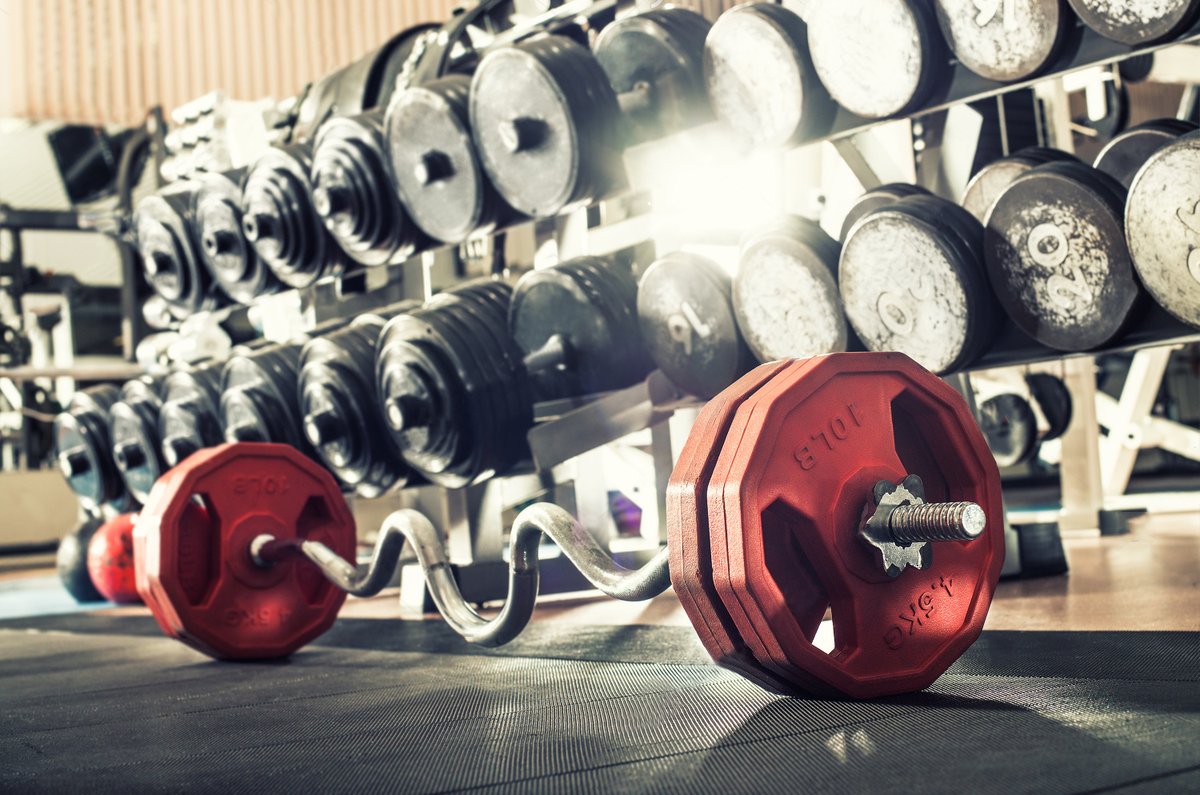 ansonsports2017's tweet photo. One of the Best Gym Equipment Manufacturers in Chandigarh as said by our previous customers.
Whatsapp: https://t.co/8Mc8Ii7MWx
Contact us:  +91 79735-03232
#gymequipments #gymequipmentforsale #gymfreaks #legpress #gymmachine #gymmachinedelhi #gymmachinemohali #fitnessequipment https://t.co/G5gnZosDE8